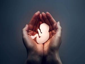 hands holding an imaginative fetus